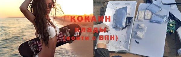 гашиш Богданович