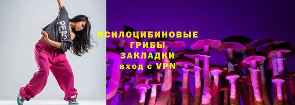 марки lsd Белокуриха