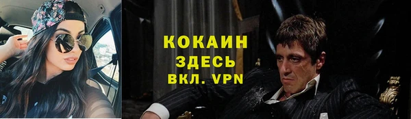 гашиш Богданович