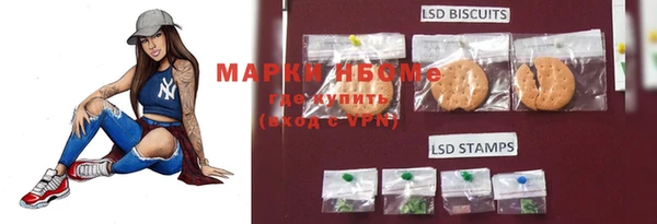 ECSTASY Богородск